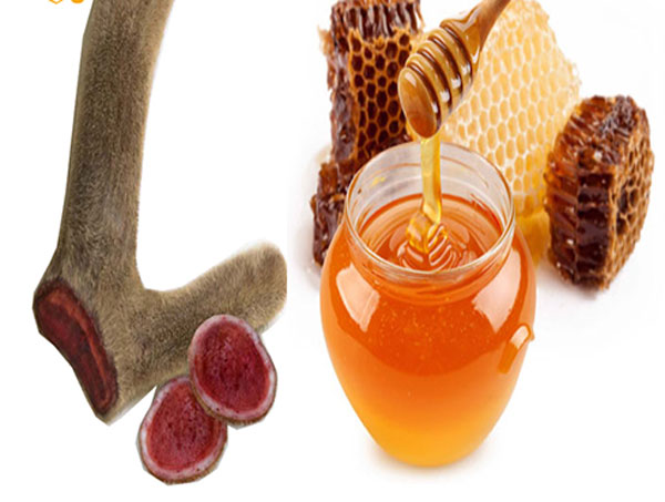 Nhung hươu tươi nguyên chất Nhung hươu tươi nguyên chất